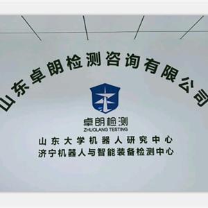 山东卓朗检测咨询 专业安全咨询服务提供商